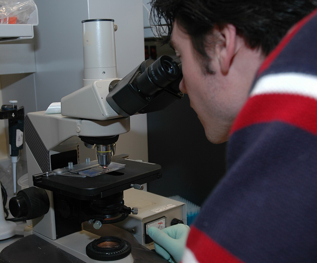Study Biochemistry in the UK: Careers and Why Choose the University of Essex