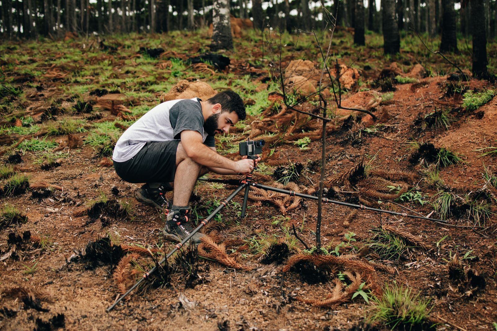 Study Wildlife Conservation in New Zealand at the University of Otago