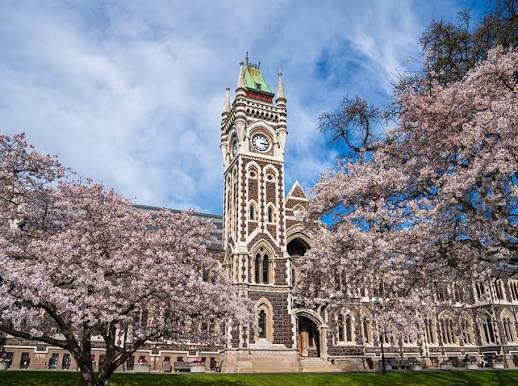 University of Otago Undergraduate Scholarships for Indonesian Students: Up to Around NZD 35,000