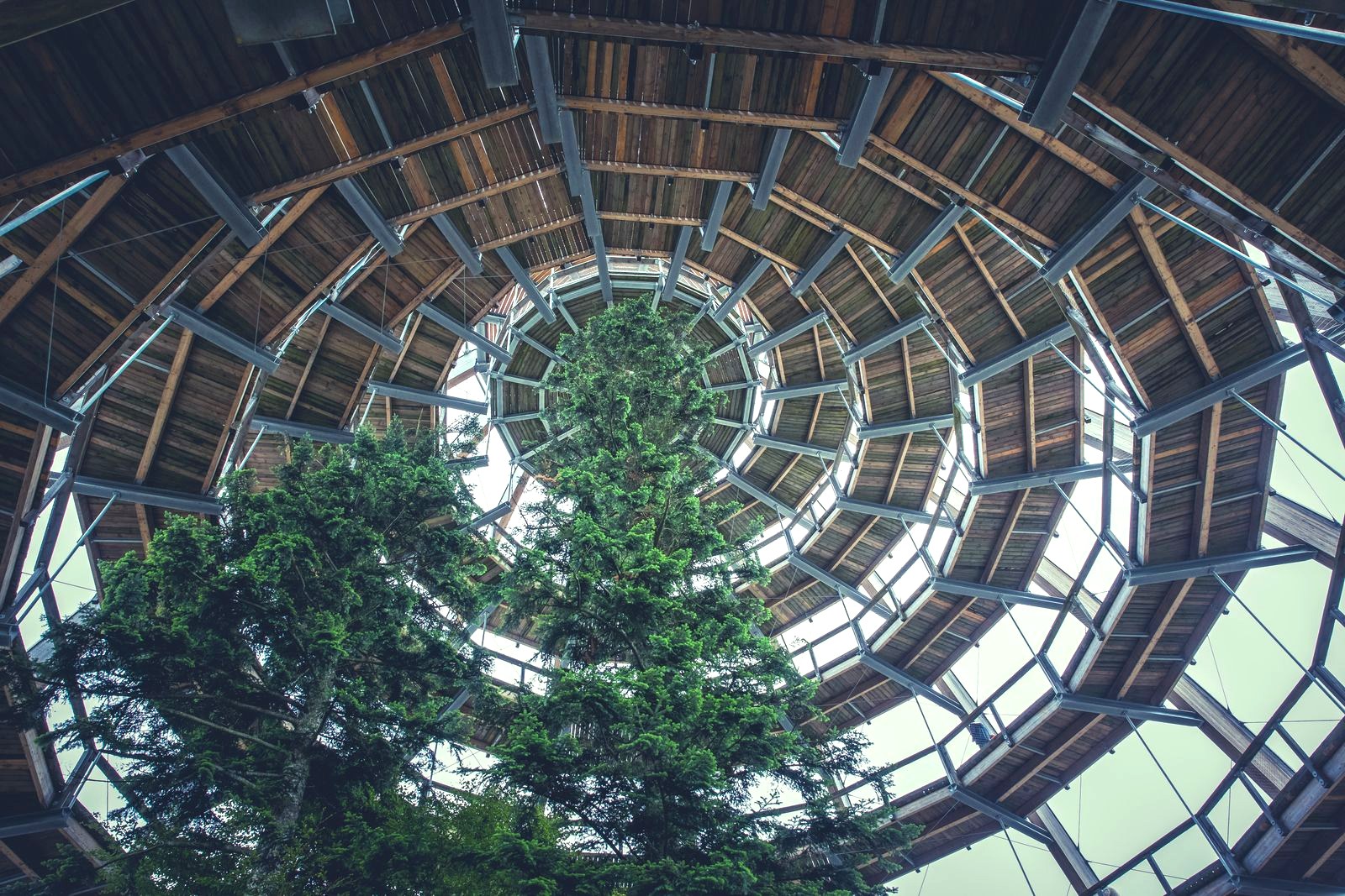 Biomimicry in Architecture: When Nature Becomes an Idea Laboratory for Future Architects