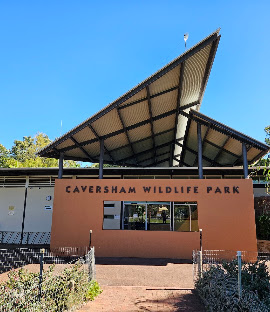 From a Wildlife Park Visit to Wildlife Conservation: What Do You Study to Protect Wildlife?