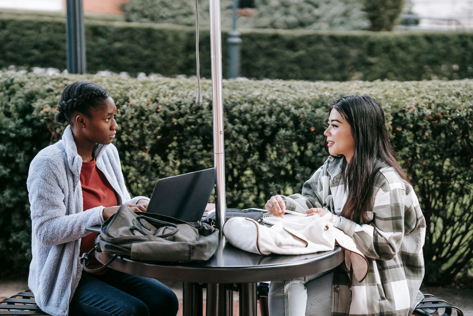 DLI Undergraduate Programmes: Two International Degrees in Three Years