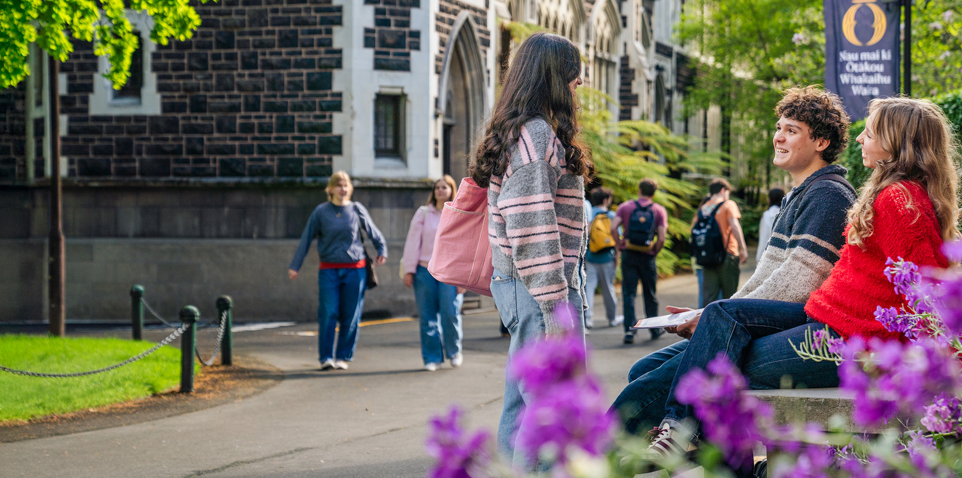 Postgraduate Options at the University of Otago: How to Choose Your Next Field of Study in New Zealand